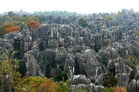 Stone Forest 